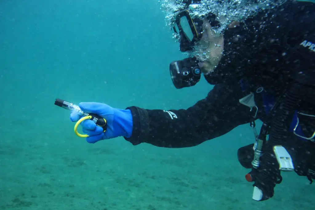 ChatGPT Image Mar 16, 2026, 09_31_52 AM.webp