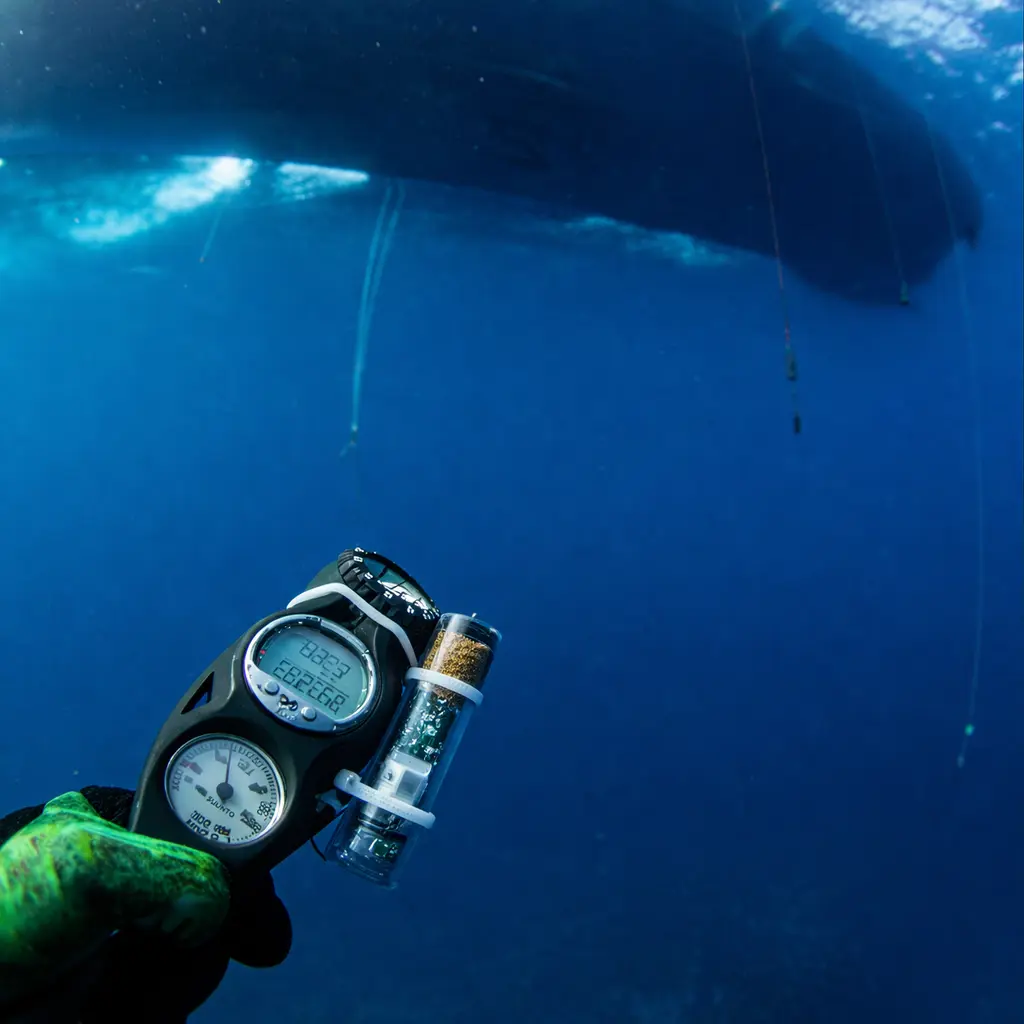 ChatGPT Image Mar 22, 2026, 02_09_47 PM.webp