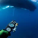 ChatGPT Image Mar 22, 2026, 02_09_47 PM.webp