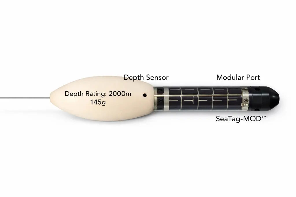 ChatGPT Image Apr 4, 2026, 07_46_53 PM.webp